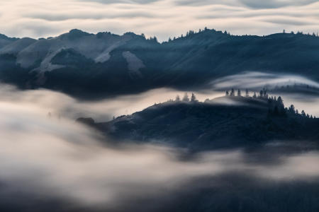 Marin
© Nick Fain