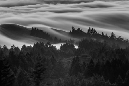 Fog River Marin
© Nick Fain