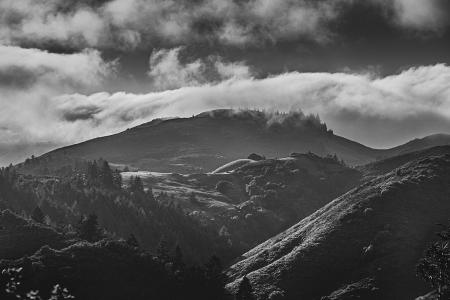 Marin
© Nick Fain