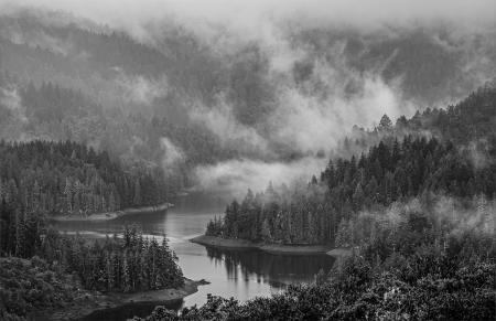 Marin
© Nick Fain