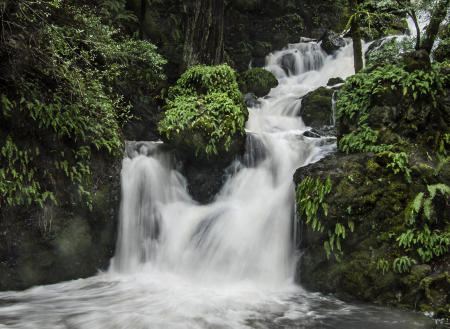 Falls Marin
© Nick Fain