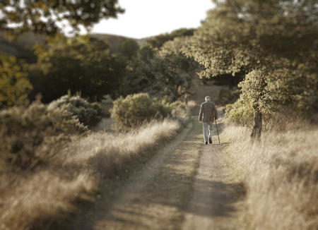 Marin
© Nick Fain