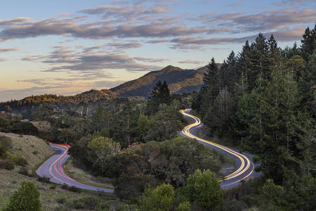 Marin
© Nick Fain