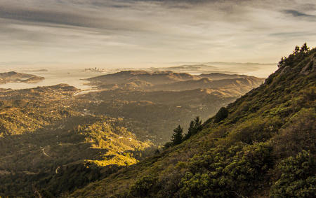 Marin
© Nick Fain