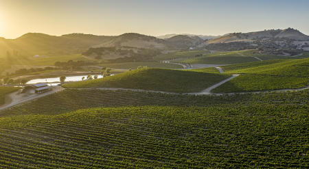 Sonoma
© Nick Fain
