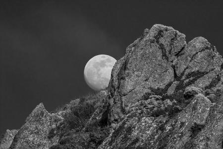 Marin
© Nick Fain