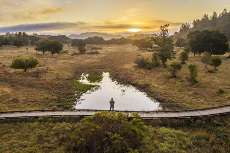 Marin
© Nick Fain