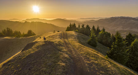 Marin
© Nick Fain