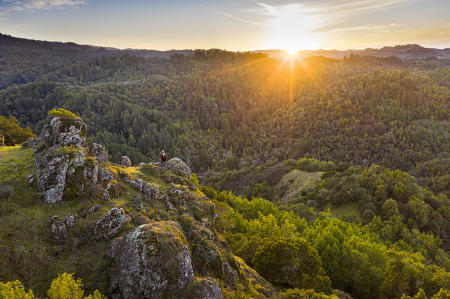 Marin
© Nick Fain