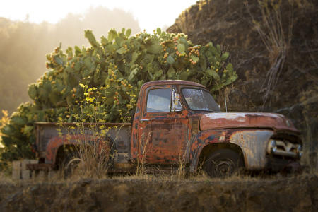 Chevy Pickup