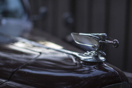 Hood Ornament