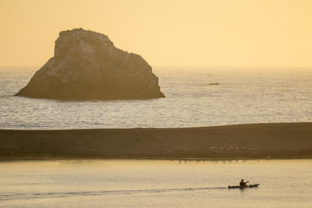 Sonoma Coast