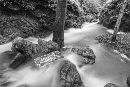 Cascade_Creek_5958-HDR-RT-BW