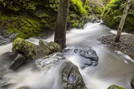 Cascade_Creek_5958-HDR-RT