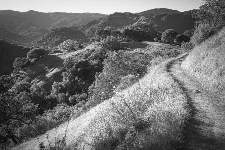Bald_Hill_View_2323-ADB-NR_V3-BW-2025
