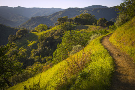 Bald_Hill_View_2323-ADB-NR_V3-2025